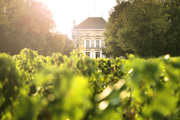 Château Plince Pomerol 