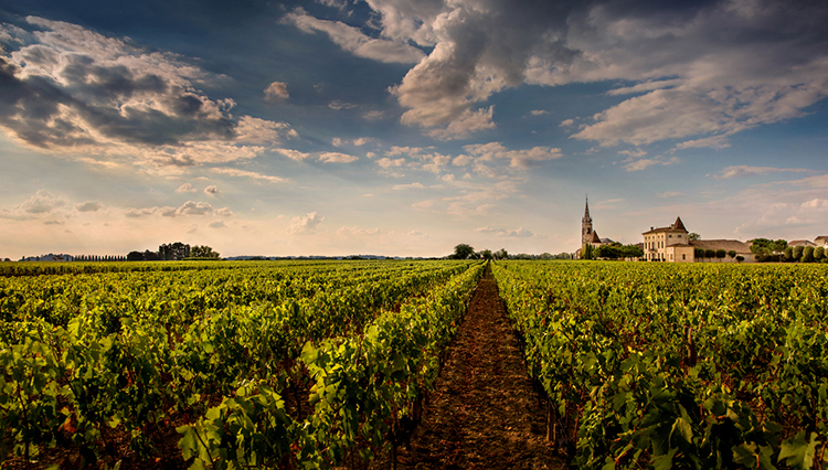 Château La Fleur-Pétrus, Pomerol