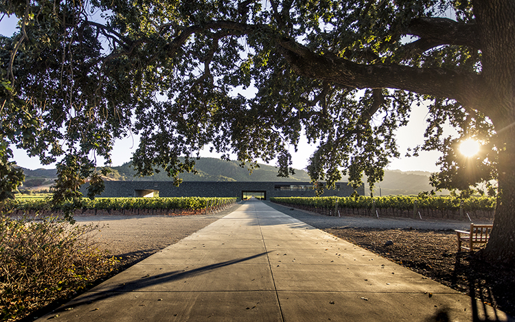 Othello - Dominus Estate, Napa Valley 